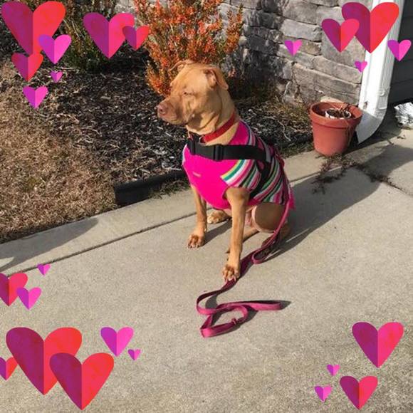 Meet your Posher, Robin - Picture 1 of 1